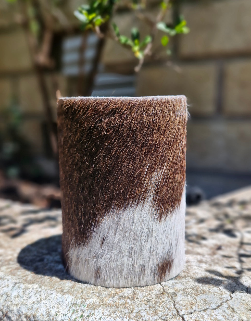 Cow Hide Coolers_81