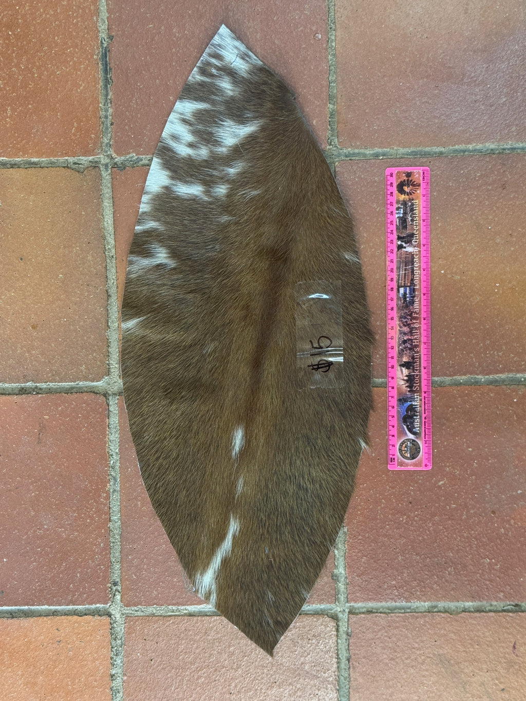 Genuine hide offcuts HO_34