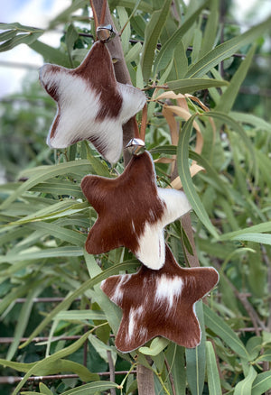 Hereford Hide (Stars)