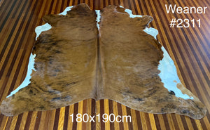 Coffee Table Cow Hide #2311